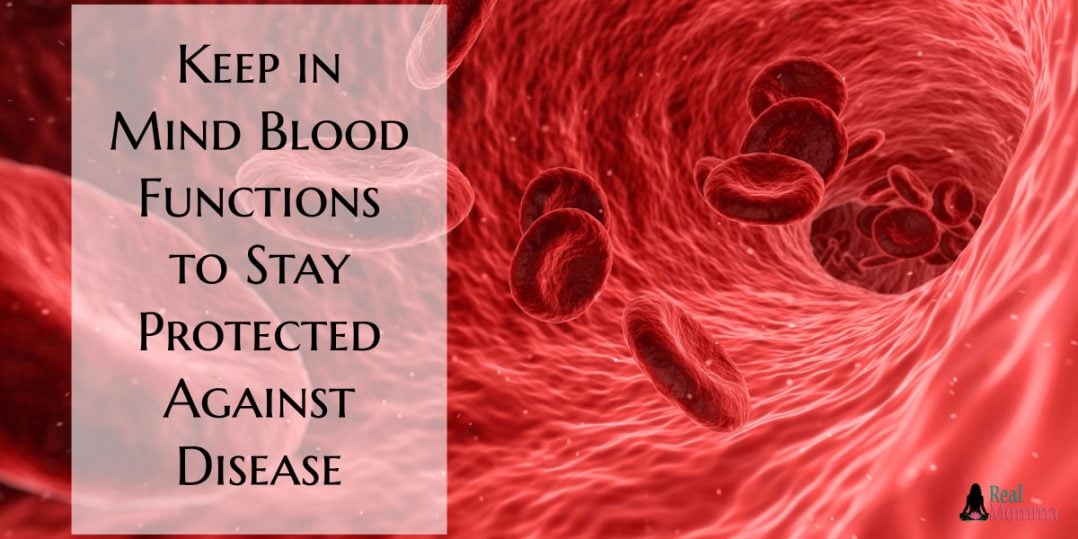 Keep in Mind Blood Functions to Stay Protected Against Disease