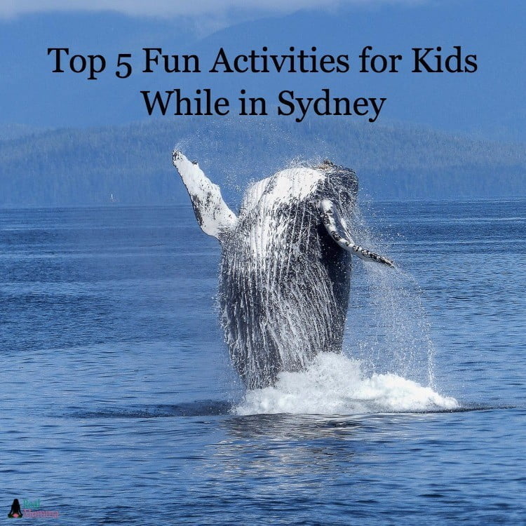 Top 5 Fun Activities for Kids While in Sydney